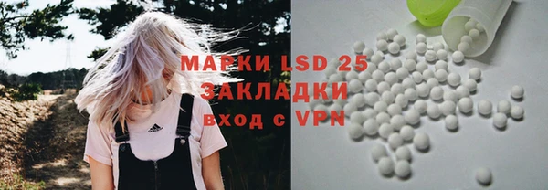 mix Инта