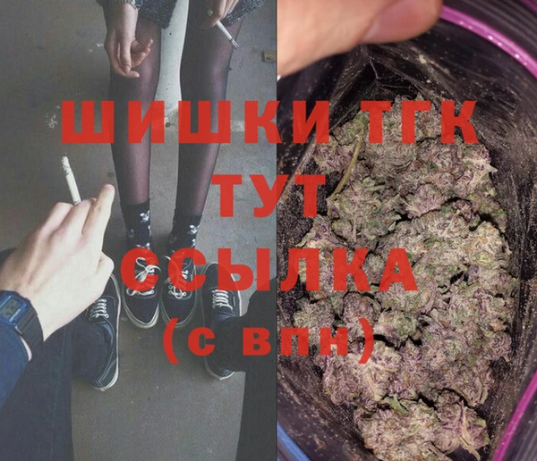 МДПВ Инсар