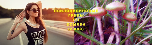 mix Инта