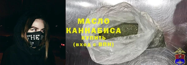 МДПВ Инсар
