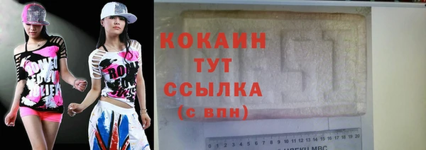 mix Инта
