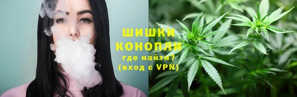 mix Инта