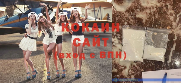 mix Инта