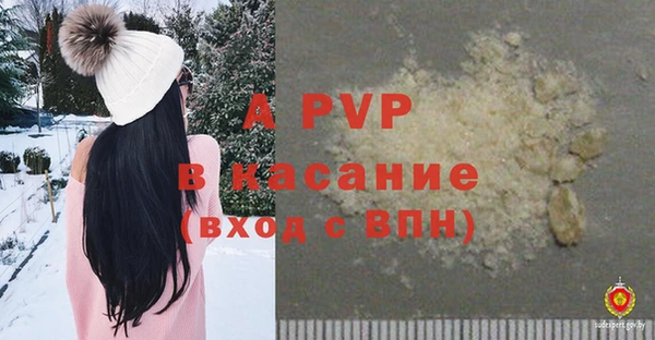 МДПВ Инсар